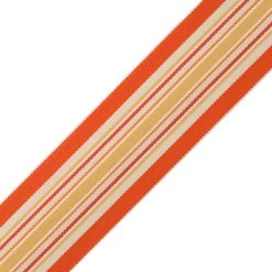 Saisons Stripe Border