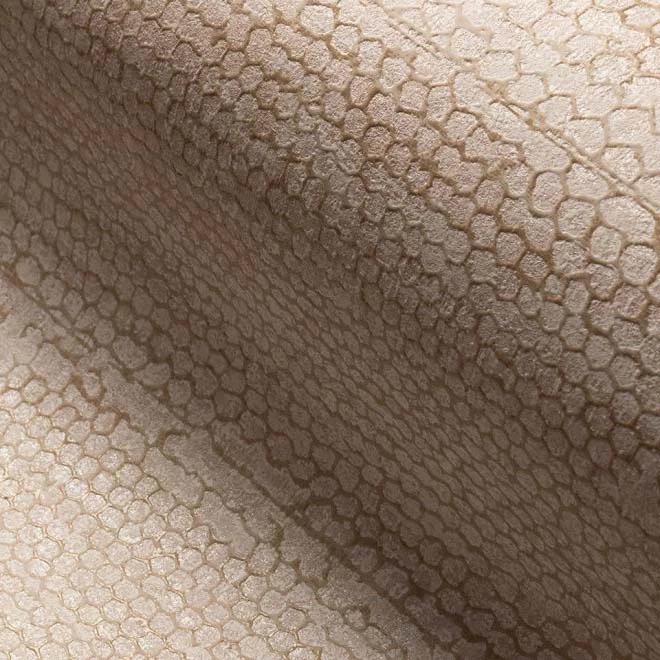 Escama 7 Escama - Afbeelding 5