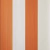 Broad Stripe -Wand Meester farrowandball straightandnarrow broadstripe st13102 01