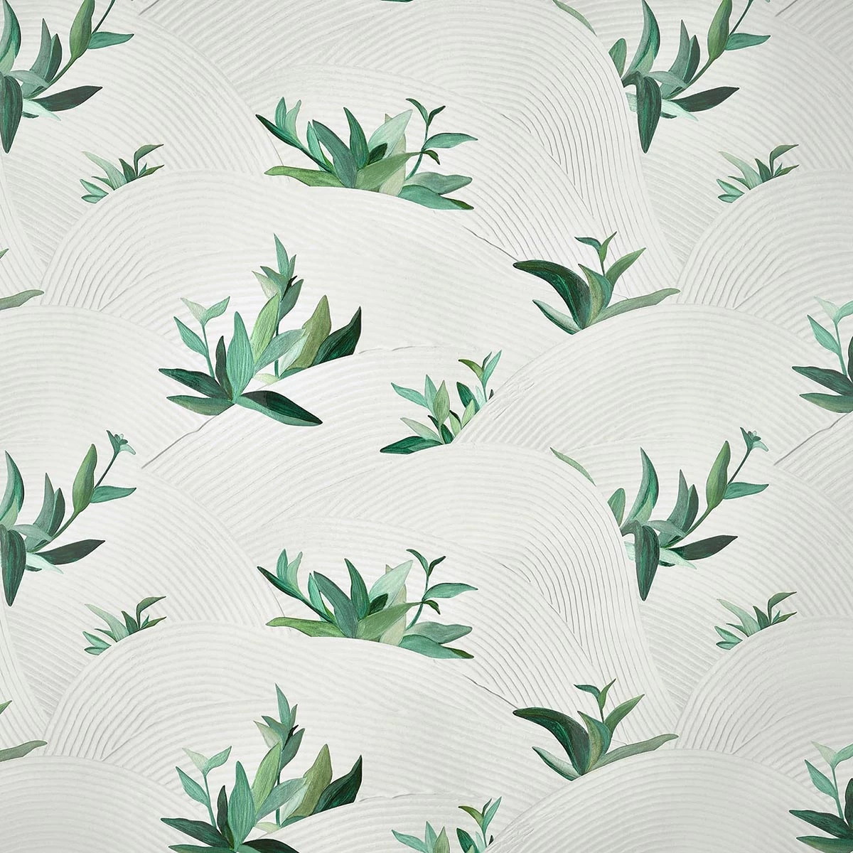 Salinas Verde 3 Salinas Verde